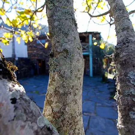 Casa Da Figueira - Rio Paiva