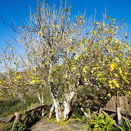 Casa Da Figueira - Rio Paiva Vakantiehuis Arouca