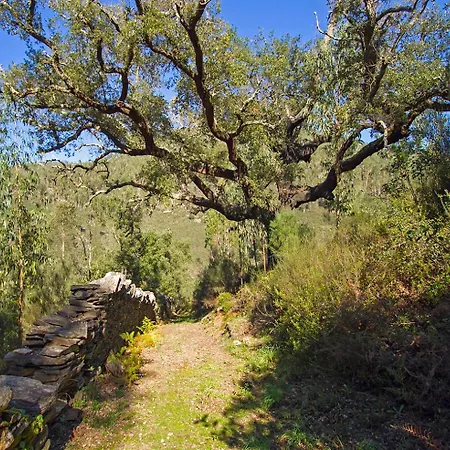 Дом отдыха Casa Da Figueira - Rio Paiva *