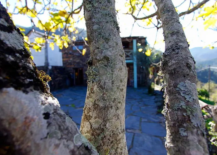 Casa Da Figueira - Rio Paiva