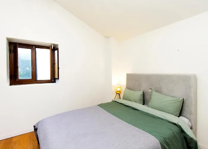 Casa Da Figueira - Rio Paiva Tatil Evi Arouca