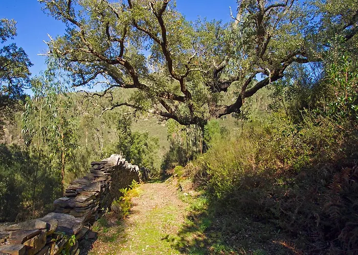 Tatil Evi Casa Da Figueira - Rio Paiva *