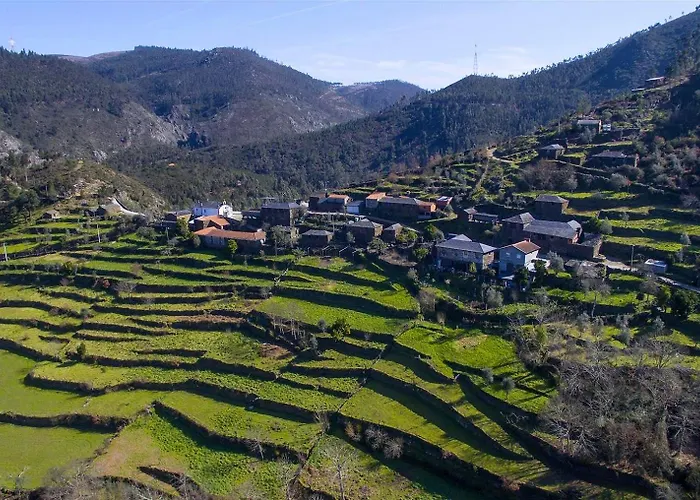 Casa Da Figueira - Rio Paiva 度假居